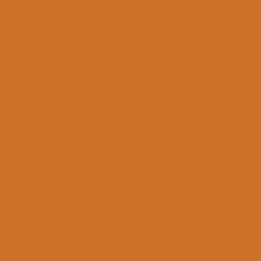 14 Carrots (CSP-1110)