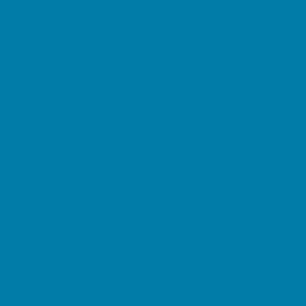 Blue Macaw (784)