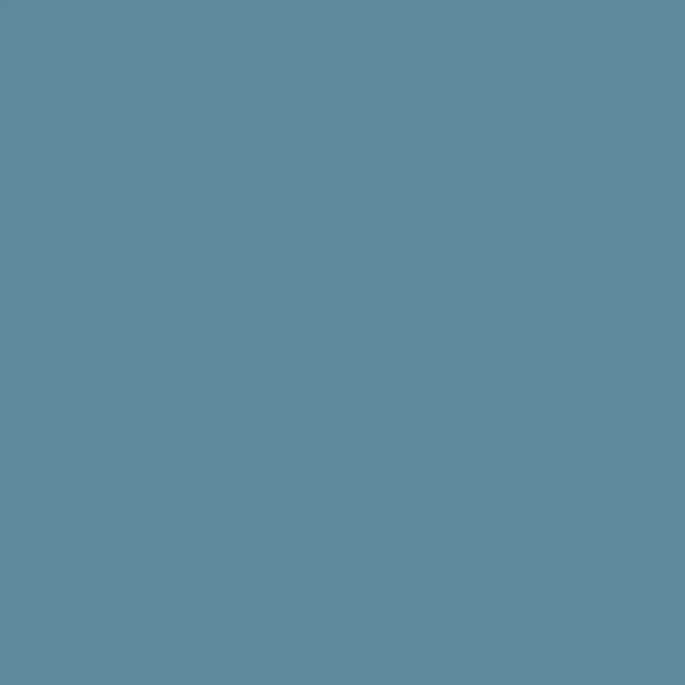 Blue Nose (1678)