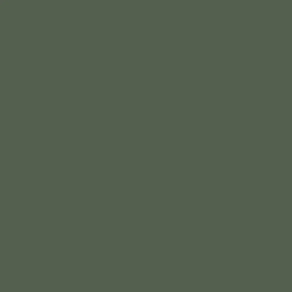 Boreal Forest (AF-480)