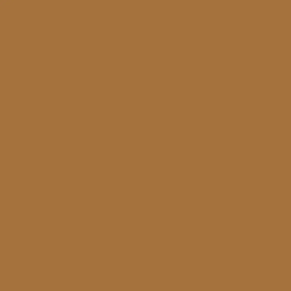 Camel (2165-10)