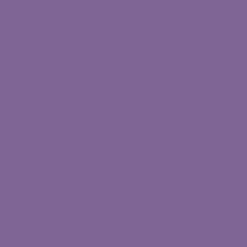 Clematis (6831)