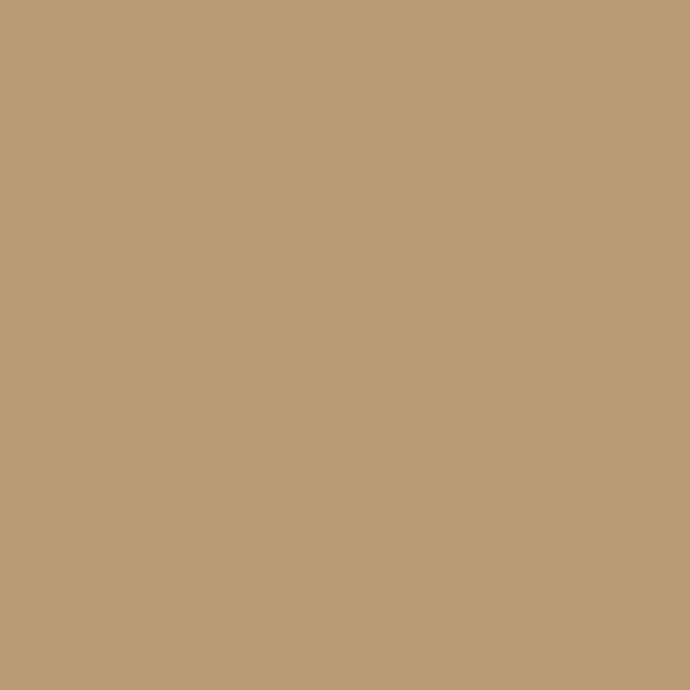 Coriander Powder (9025)