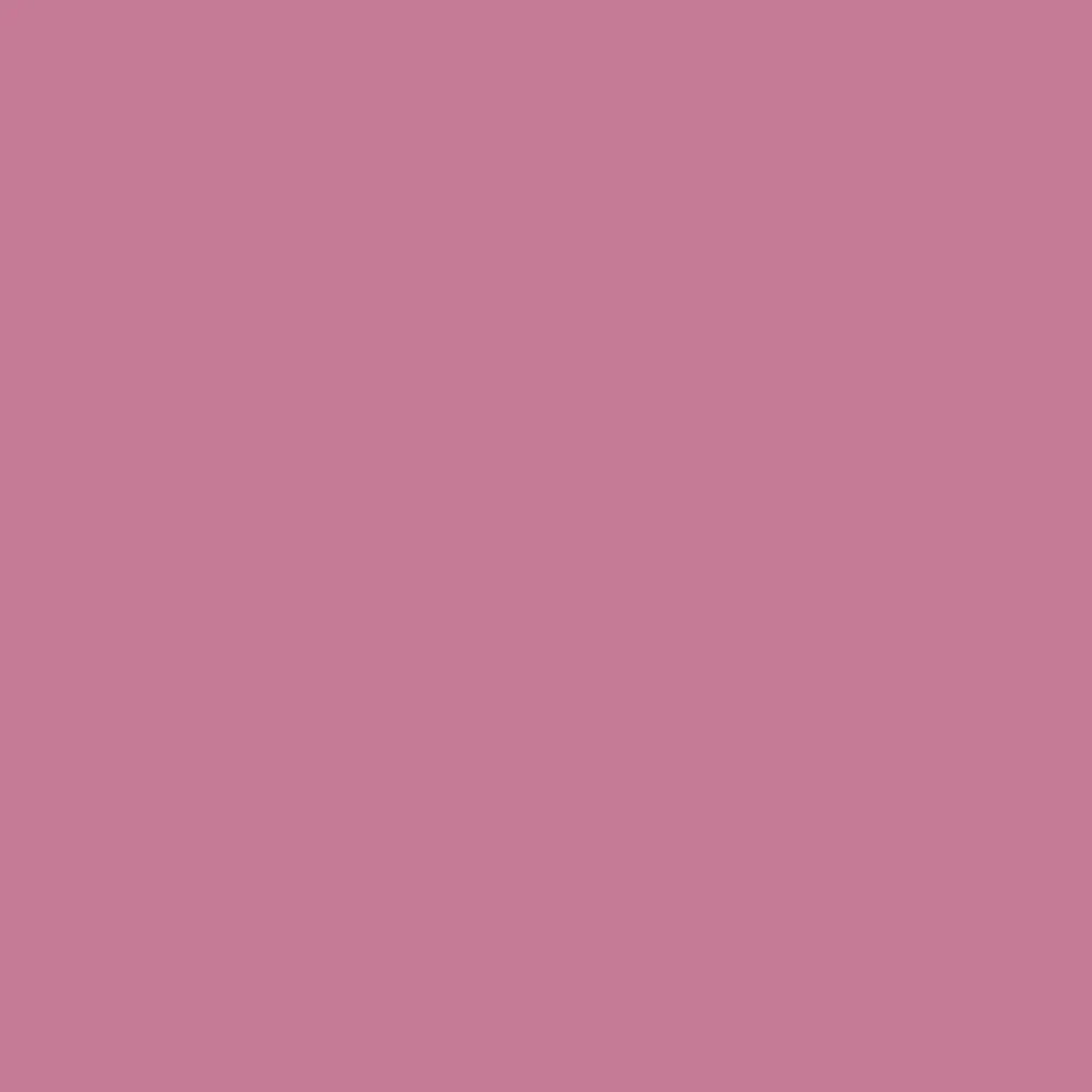 Cyclamen (6571)