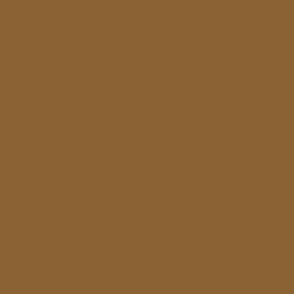 Desert Camel (2162-20)
