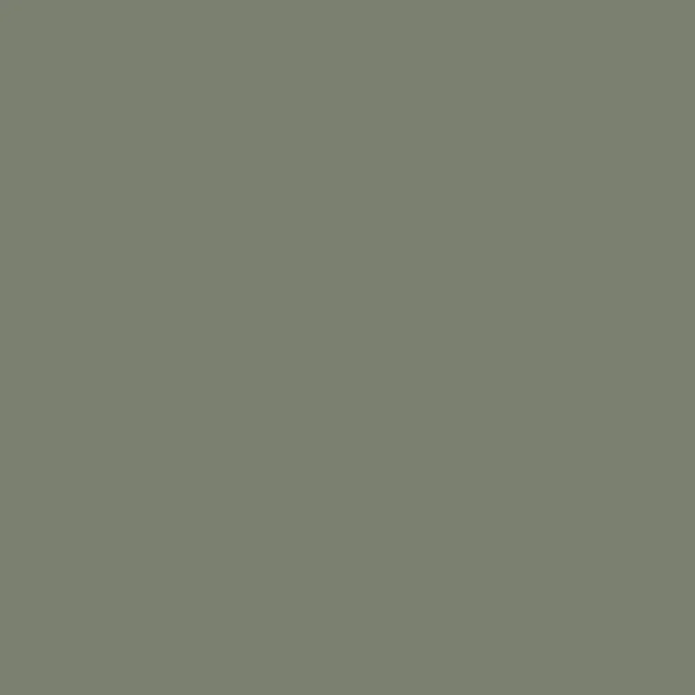 Dried Thyme (6186)