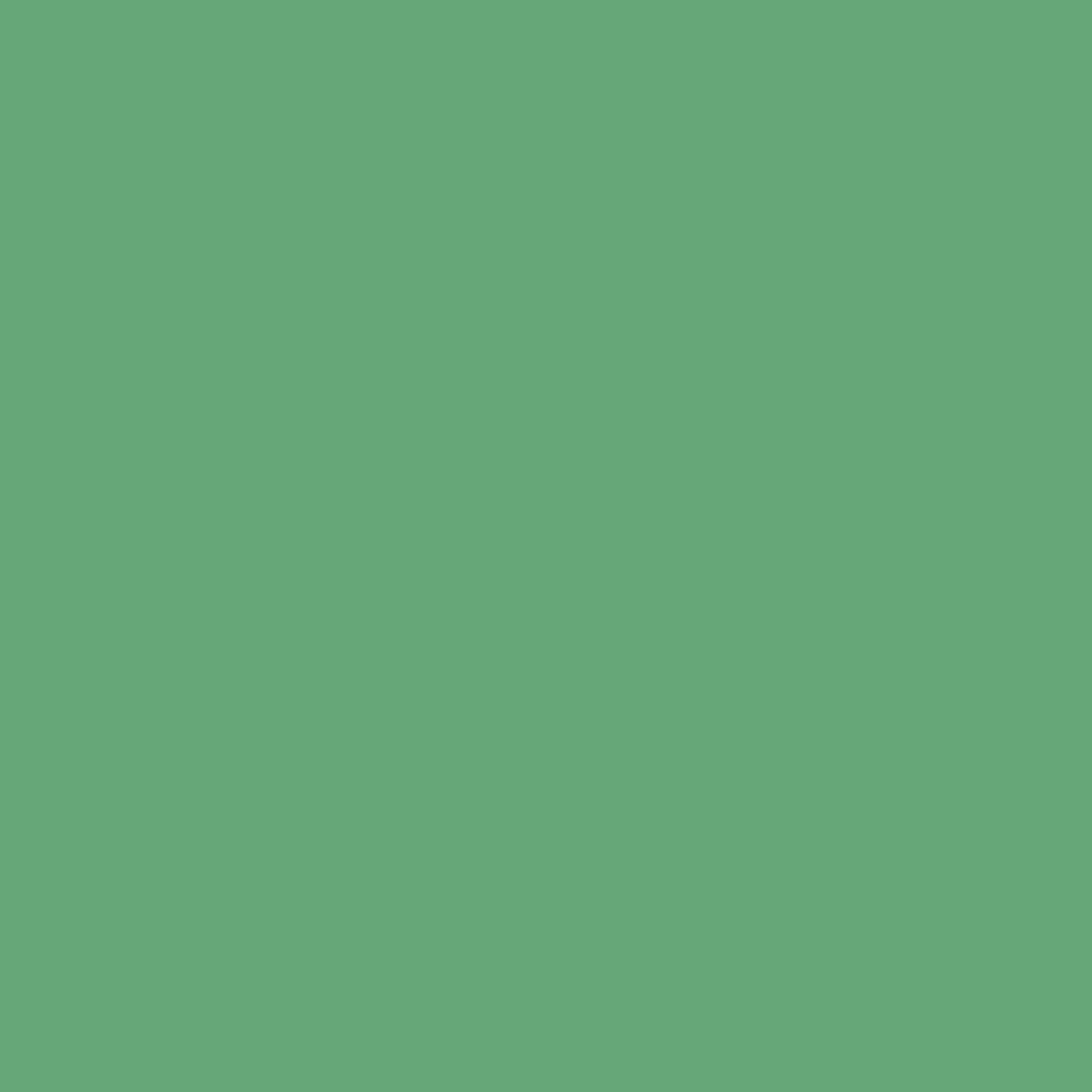 Eco Green (6739)