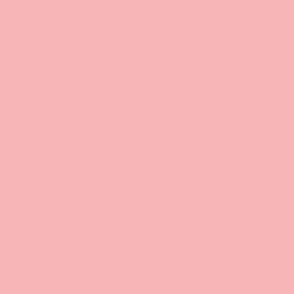 Fashion Pink (2009-50)