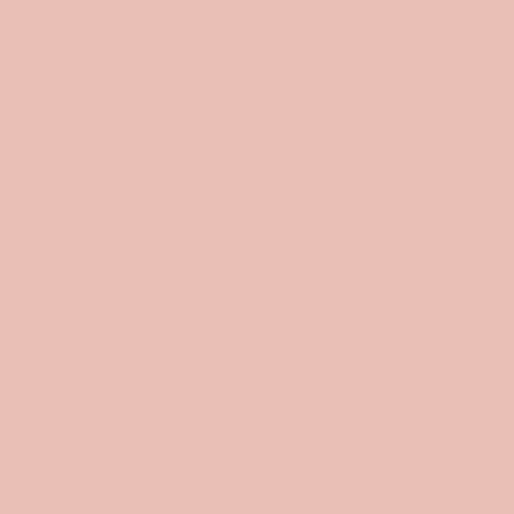 Fruit Shake (2088-60)