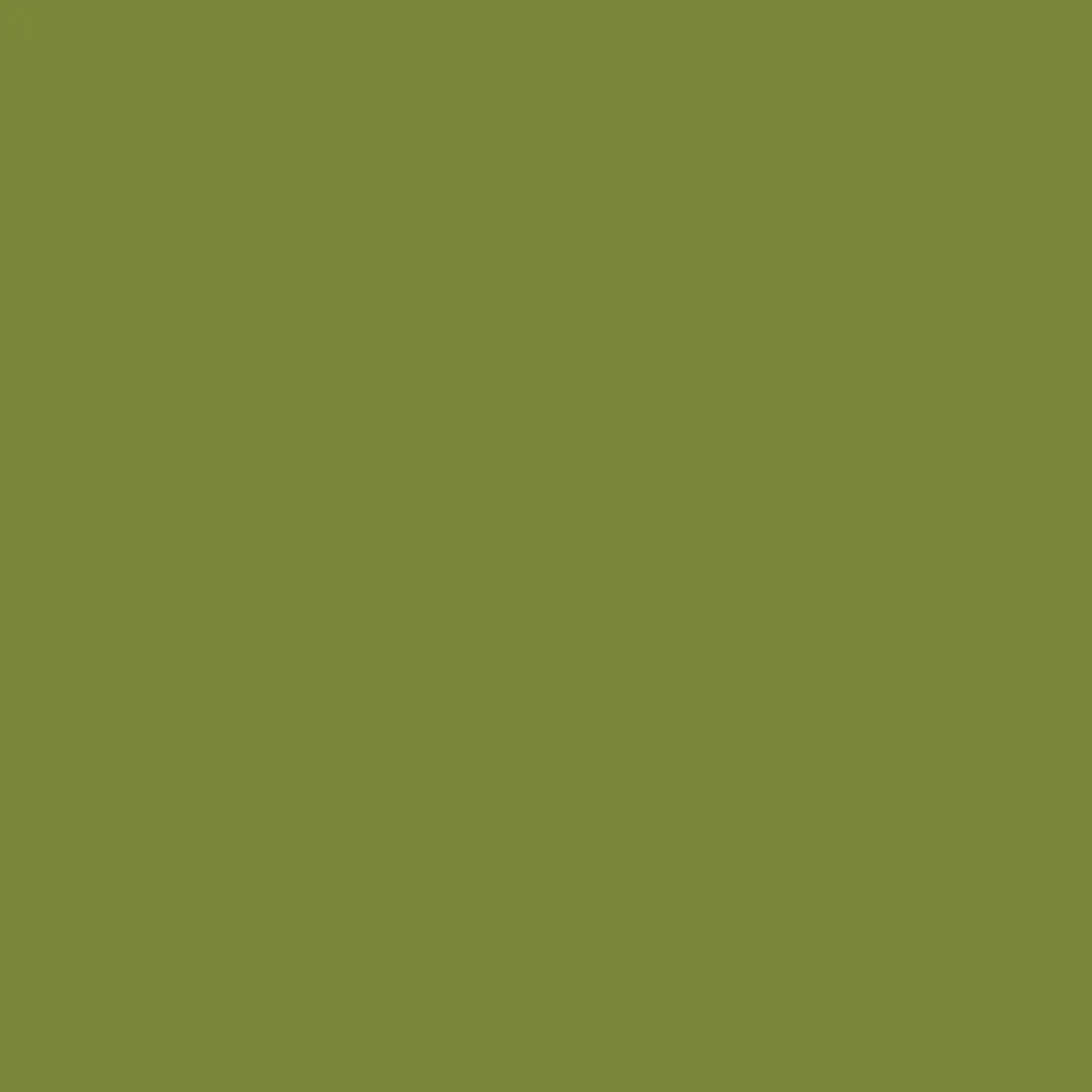 Gecko (6719)