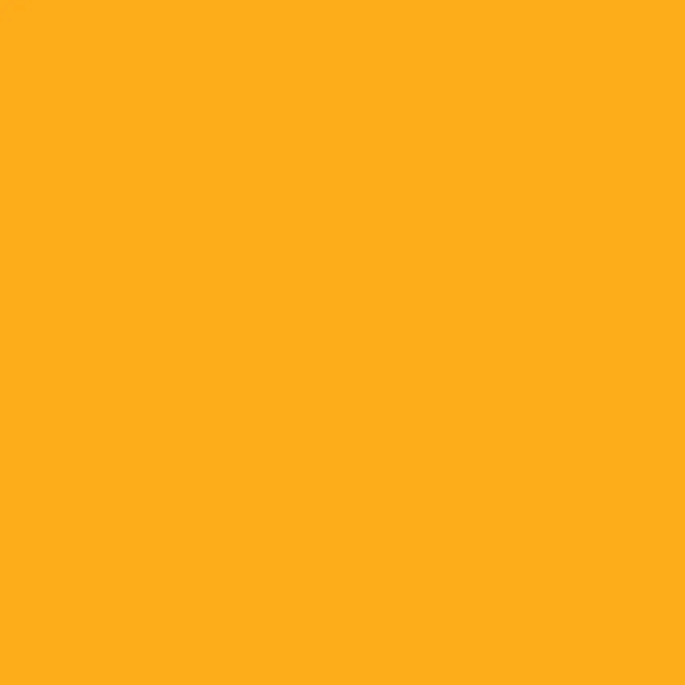 Golden Nugget (2019-20)
