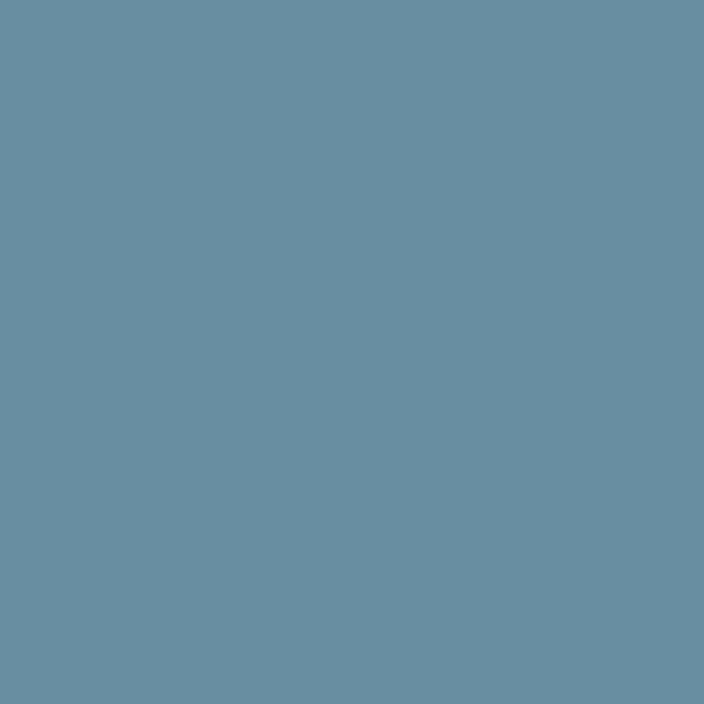 Leisure Blue (6515)