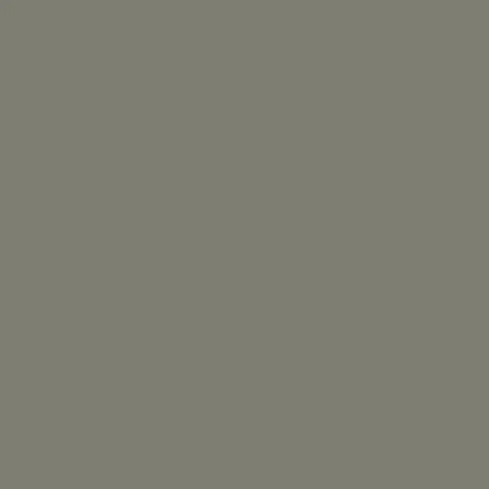 Link Gray (6200)