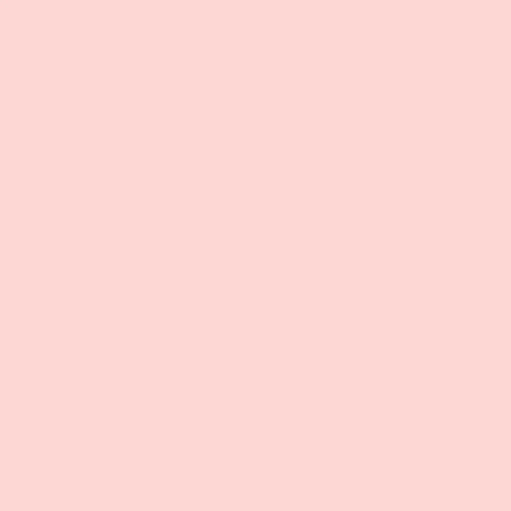 Little Piggy (2008-60)
