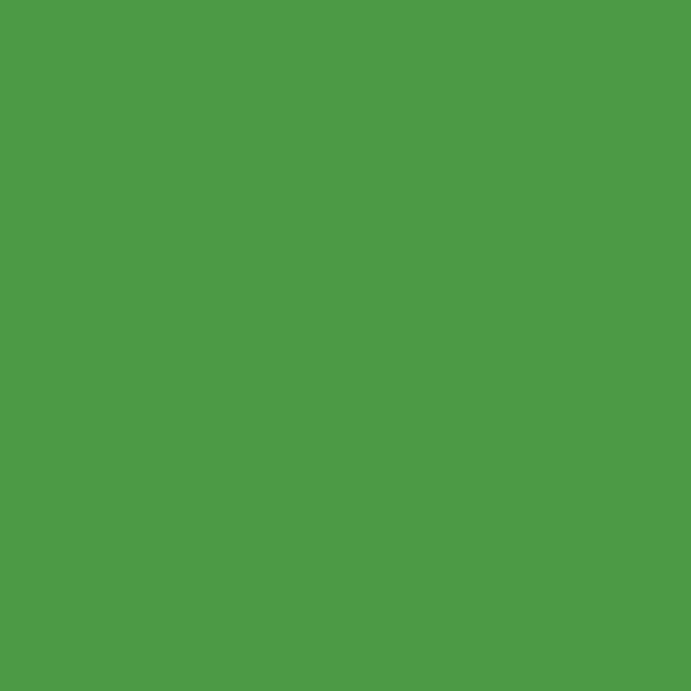 Lizard Green (2030-10)
