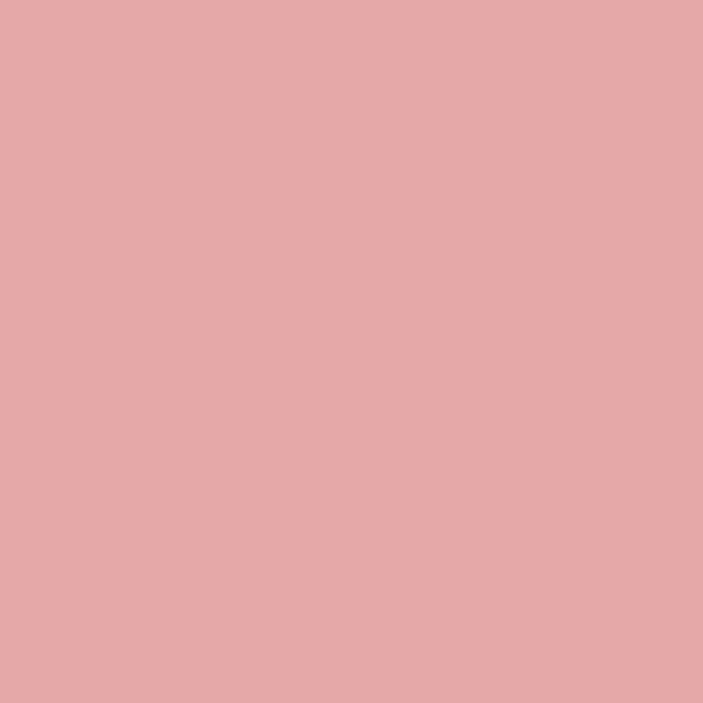 Pink Punch (2006-50)