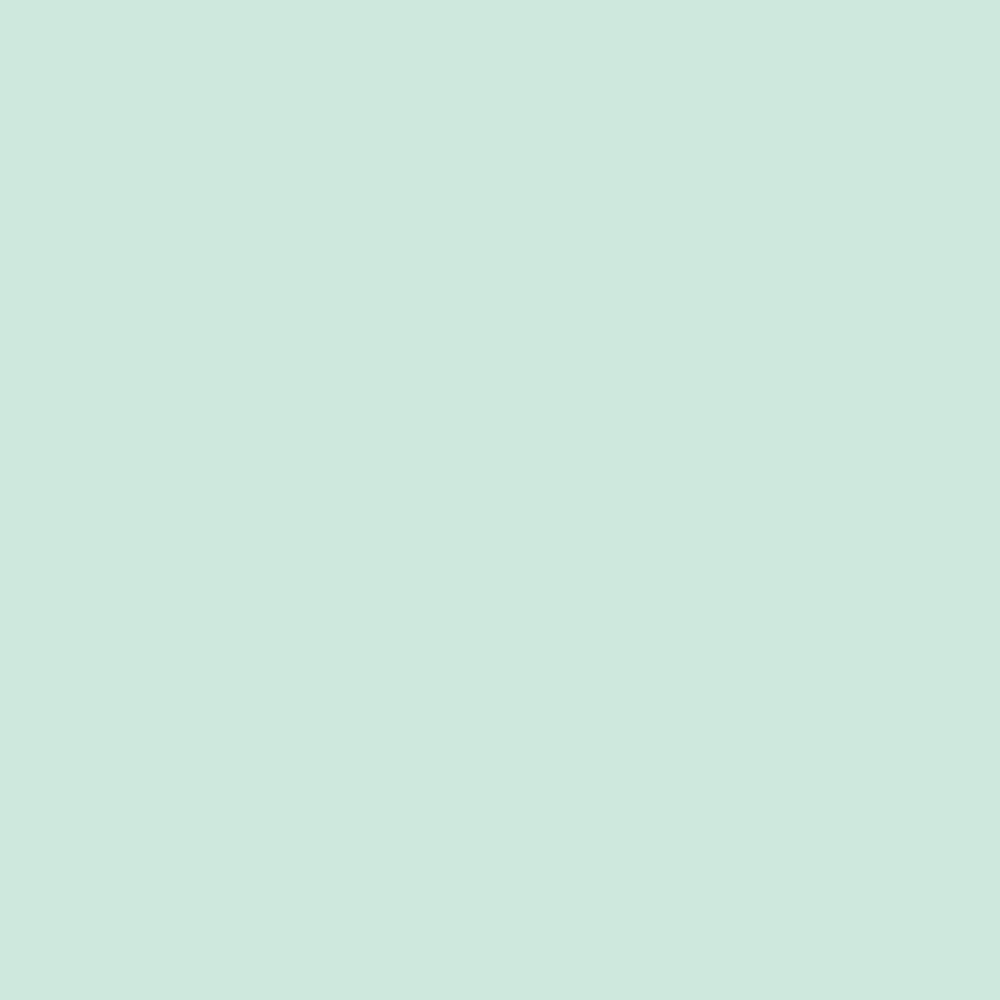 Quartz Stone (597)