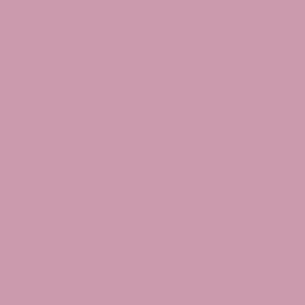 Rosebay (6563)