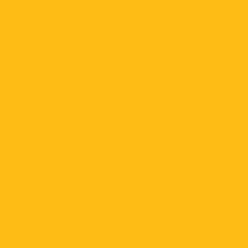Sunflower (2019-30)