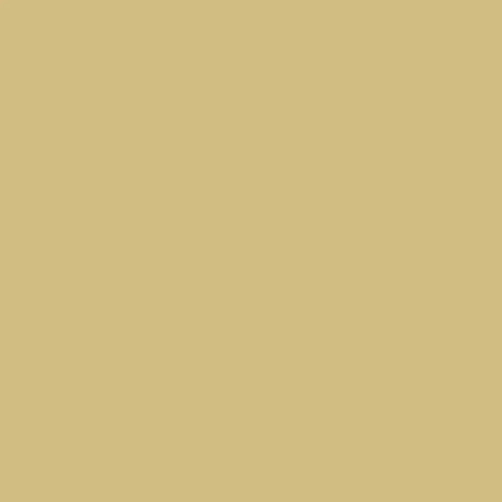 Turkish Bay Leaf (CSP-885)